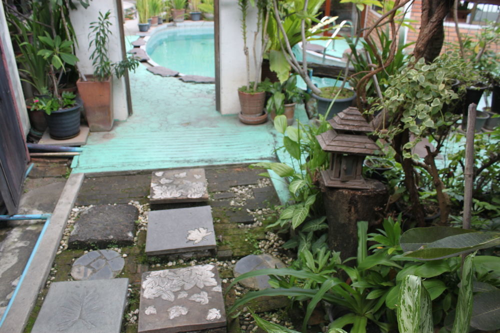 D Chiang Mai